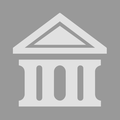 RJI Professionals, Inc (MN)